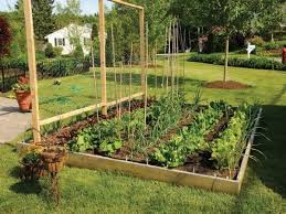 free vegetable garden layout plans and