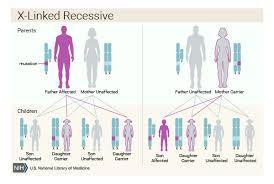 genetic condition can be inherited