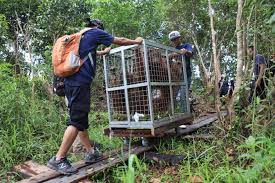 Fishing for certainty   Article   Nature Don t use more water than you need  and now that the rainy season on the  corner adopt rainwater harvesting to help raise ground water levels 