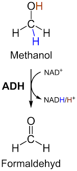 It is a fuel which can be burned for energy or used in various chemical recipes added by the mod. Methanol Chemie Schule