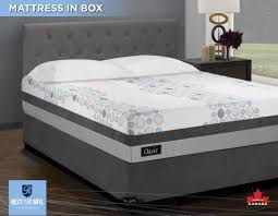 Oasis 12 Inches Mattress Furniture