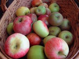 Choosing Heritage Apple Varieties For