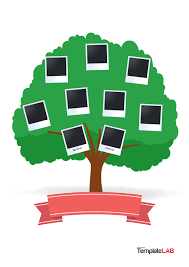 50 Free Family Tree Templates Word Excel Pdf