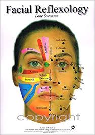 Facial Reflexology Chart A3 By Lone Sorensen Lopez Amazon