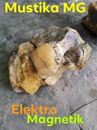 Batu raja mani gajah asli sebenarnya adalah ceceran sperma gajah purba ketika berhubungan seksual, yang kemudian mengeras dan membentuk fosil batu. Batu Mani Gajah 2 Alam Elektro Magnetik Home Facebook