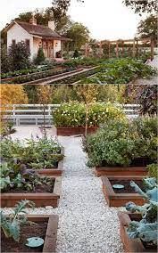 Vegetable Garden Layout 7 Best Design