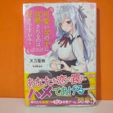 SoftBank Creative GA Bunko Light Novel Kawaii Onnanoko ni Kouryaku sareru  no wa Suki desu ka? 1 - Kakao | Kyou Hobby Shop