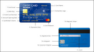 anatomy of a credit card what do the