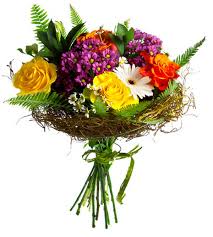 Buongiorno fiori felice giornata primavera semplici colori Fiori Per Congratulazioni Efiorista Online In Italia Ti Aiuta A Consegnare O Regalare Fiori E Piante Per Esprimere Le Congratulazioni