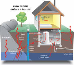Radon Information Accucheck Home