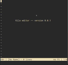 build your own text editor