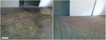 wall to wall carpet cleaning nyc i