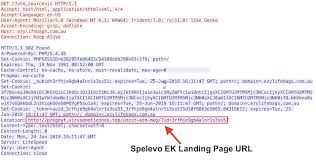 Welcome Spelevo New Exploit Kit Full Of Old Tricks