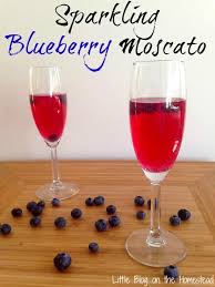 sparkling blueberry moo guest post