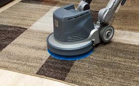 carpet cleaning services in t woods