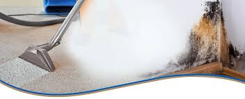carpet cleaning services merrillville
