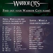 find out your warrior cats name
