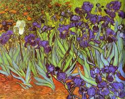 Irises Sait Rémy By Vincent Van Gogh