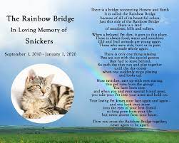 personalized rainbow bridge pet loss