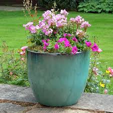 Glazed Pottery Large Plant Pots For