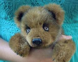 Image of realistic teddy bear