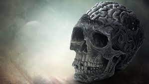 brain skull 1920x1080 wallpaper flare