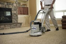 the importance of carpet cleaning