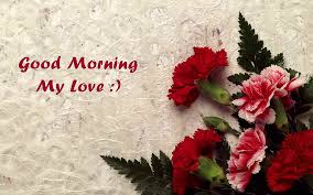 good morning wishes with red rose