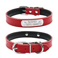 *free* shipping on orders $49+ and the best customer service! Leather Cat Collar Page 1 Line 17qq Com