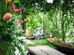 philippine plants in your garden