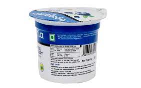 epigamia greek yogurt blueberry tub 90