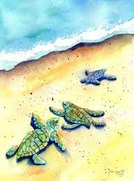Baby Sea Turtles Hawaii Art Print Wall