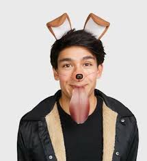 filter inspired puppy costume kit ears