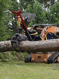 Tree service | buford | alpharetta | suwanee| johns creek| lawrenceville|tree removal free estimates |call us for services! Tree Removal Buford Ga Tree Service Tree Removal Service Llc