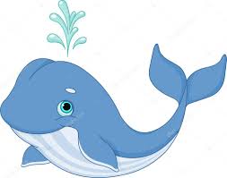 whale cartoon stock vector by