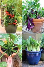 Growing Vegetables In Pots