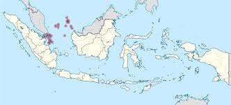 Biasanya melalui website, media sosial, atau yang lainnya. Riau Islands Wikipedia
