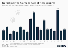 Chart Trafficking The Alarming Rate Of Tiger Seizures