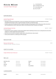Typical resume samples for project managers describe responsibilities such as designing schedules, assessing risks, recruiting team members, monitoring. Assistant Project Manager Resume Example