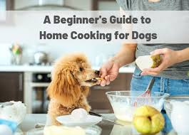 However, being a pet owner is not all fun and games. A Beginner S Guide To Home Cooking For Dogs Union Lake Veterinary Hospital