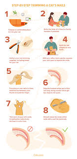 how to safely trim cat nails a step