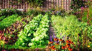 10 Tips For Growing A Healthy Garden
