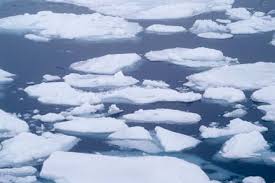 Image result for ice floe