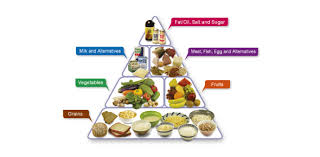 food pyramid quiz questions and answers