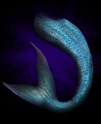 Image result for mermaid tail