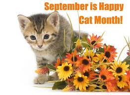 Image result for cat month