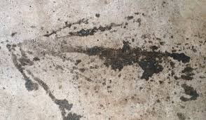 the top ways to remove paint from concrete