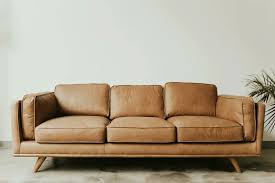 mold on leather couches how to remove