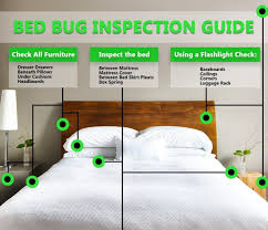 bedbugs in my hotel room