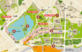 Ueno park is a huge public park in tokyo, home to several major history and art museums, shrines, temples, and a large zoo. Ueno Cherry Blossom Museum Market Explore Japan